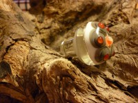 /album/fotogalerie/p1000906-jpg/