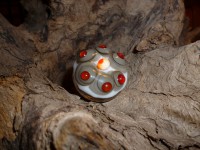 /album/fotogalerie/p1000908-jpg/