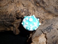 /album/fotogalerie/p1000912-jpg/